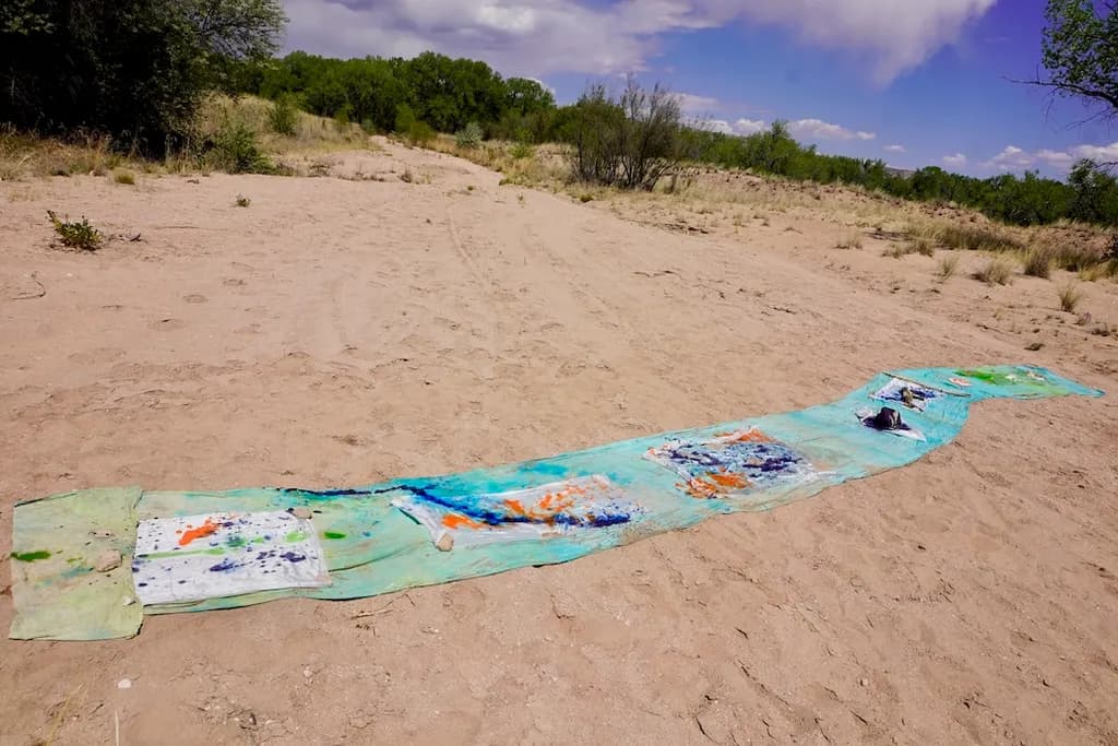 Desert Canvas