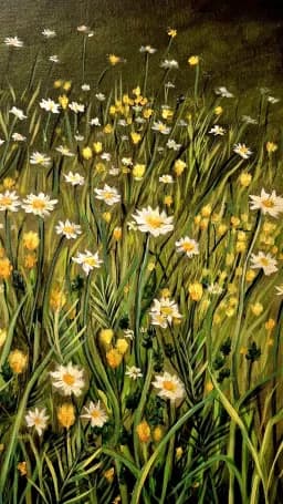 Daisies in Bloom