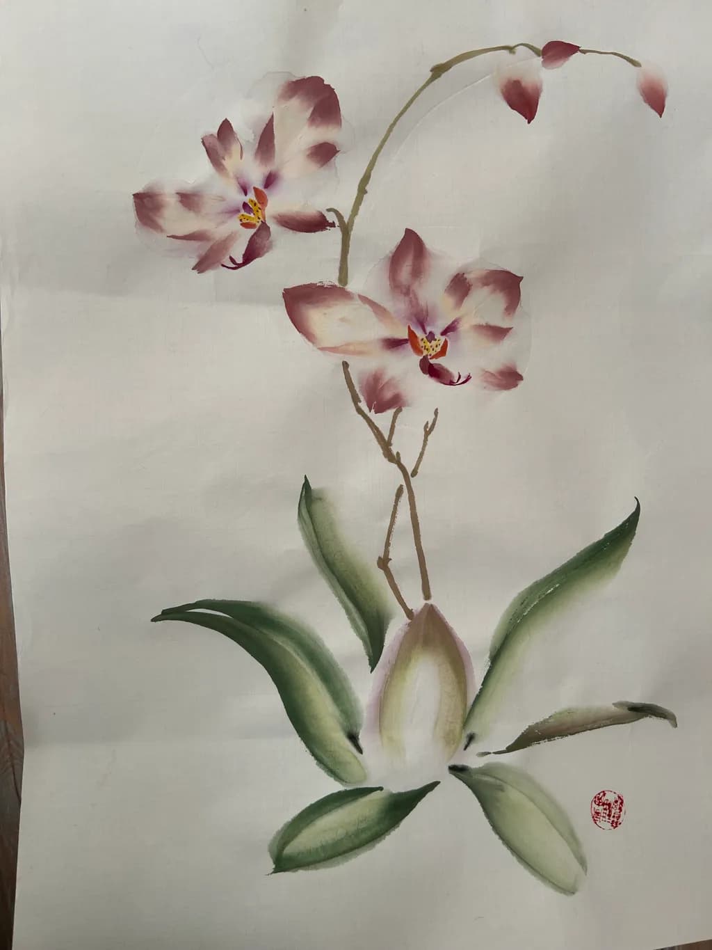 Orchid Elegance