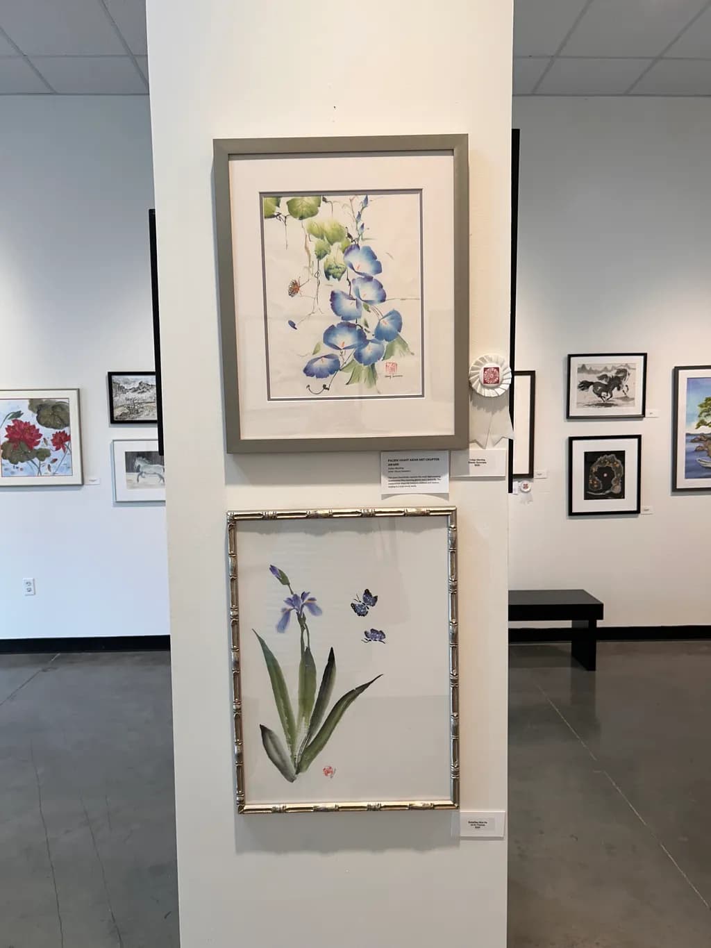 Iris and Butterflies