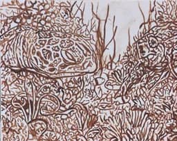Tangled Woodland Pond