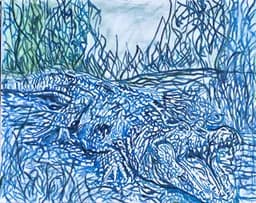 Thicket in Blue
