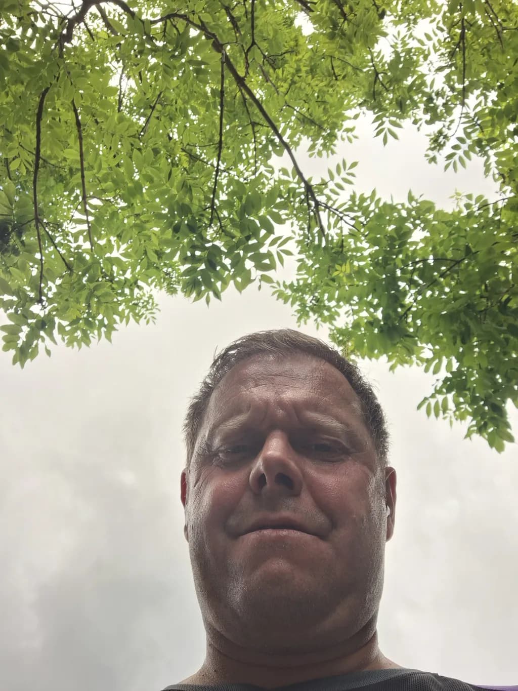 Under the Canopy