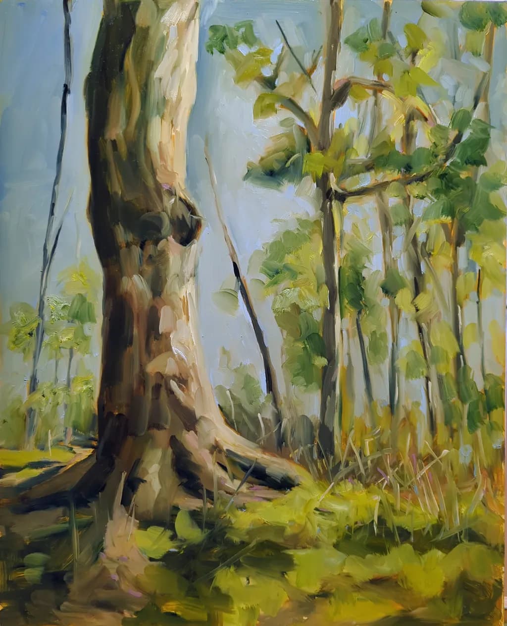 Forest Light