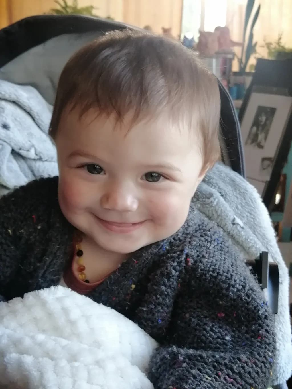 Cheerful Bundle