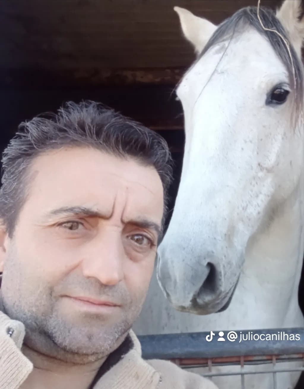 Man and Horse Bond