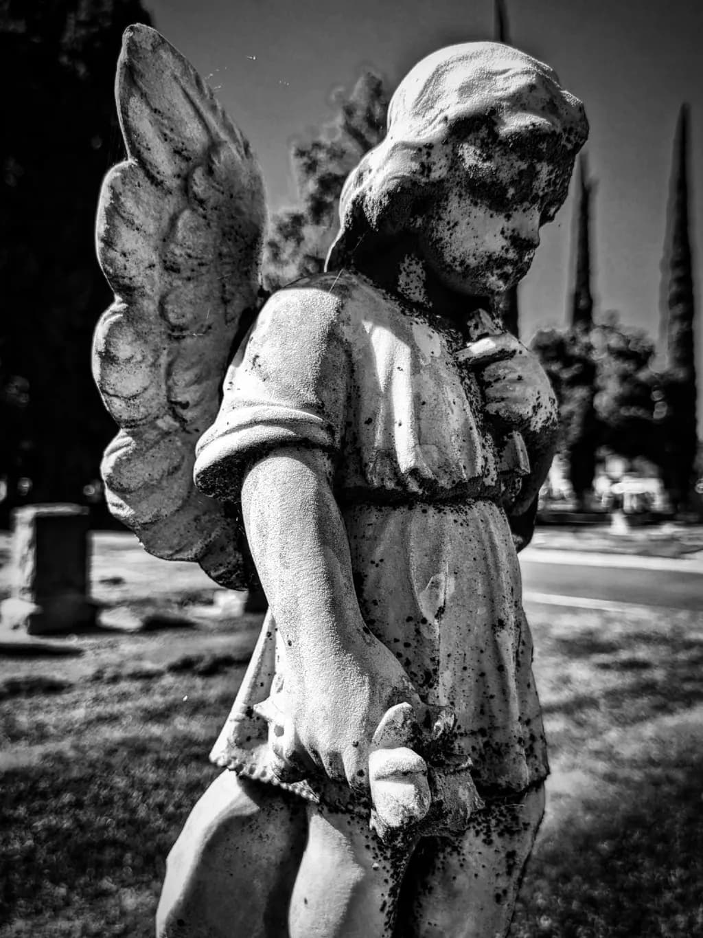 Weathered Guardian