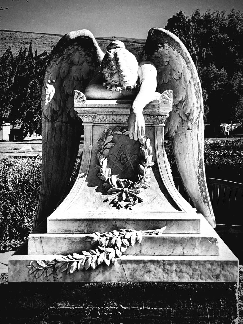 Weeping Angel