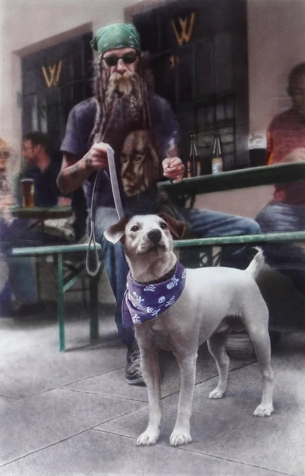 Bandana Companions