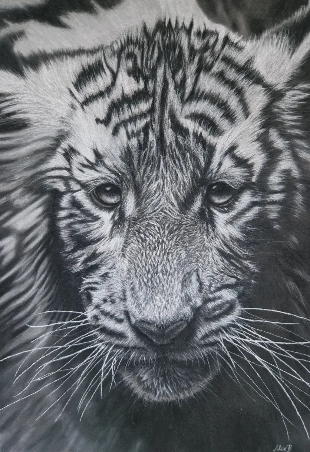 Silent Gaze