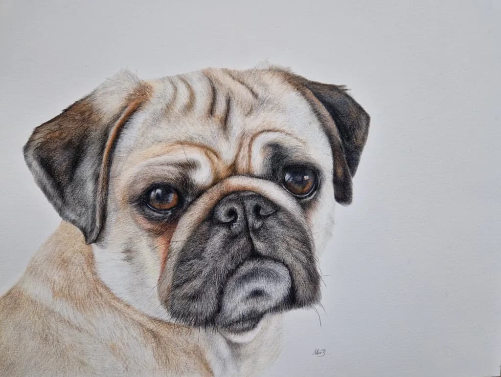 Pensive Pug