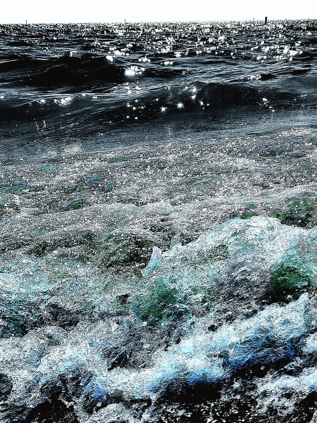 Ocean Pulse
