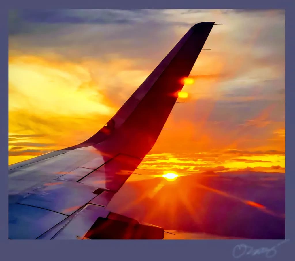 Sunset Wingscape