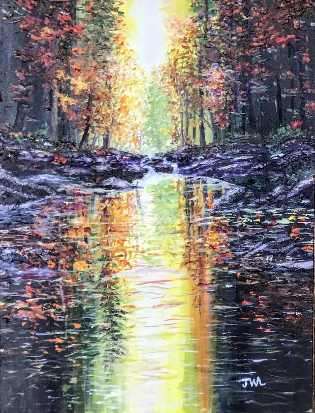 Sunlit Reflection