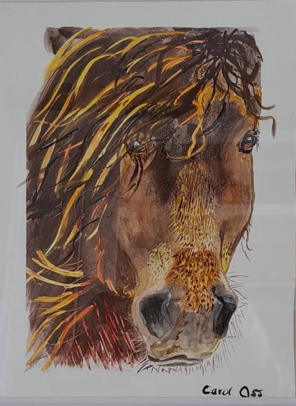 Wild Mane Majesty