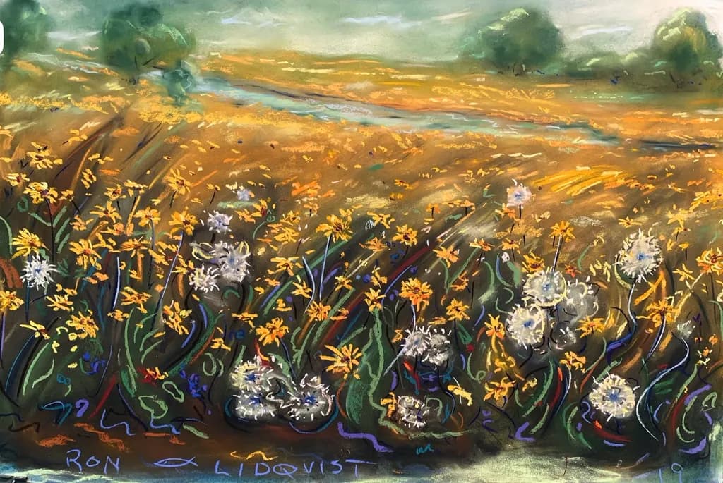 Spring Wildflower Field