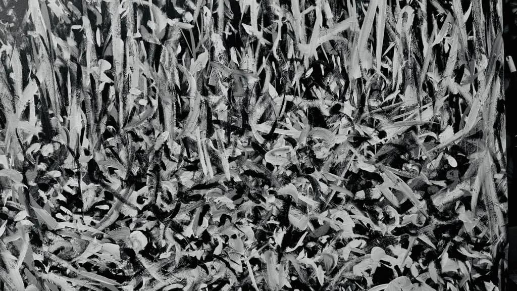 Monochrome Frenzy
