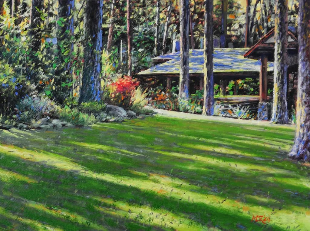 Shadows in the Woods