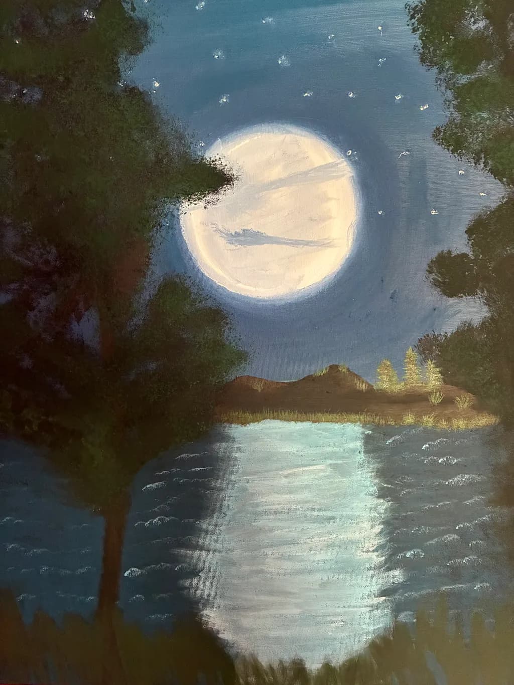 Moonlit Reflection