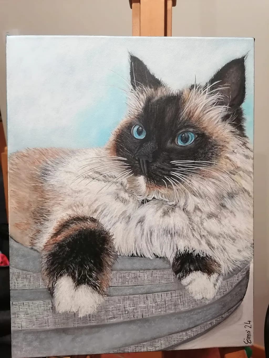 Blue-Eyed Grace