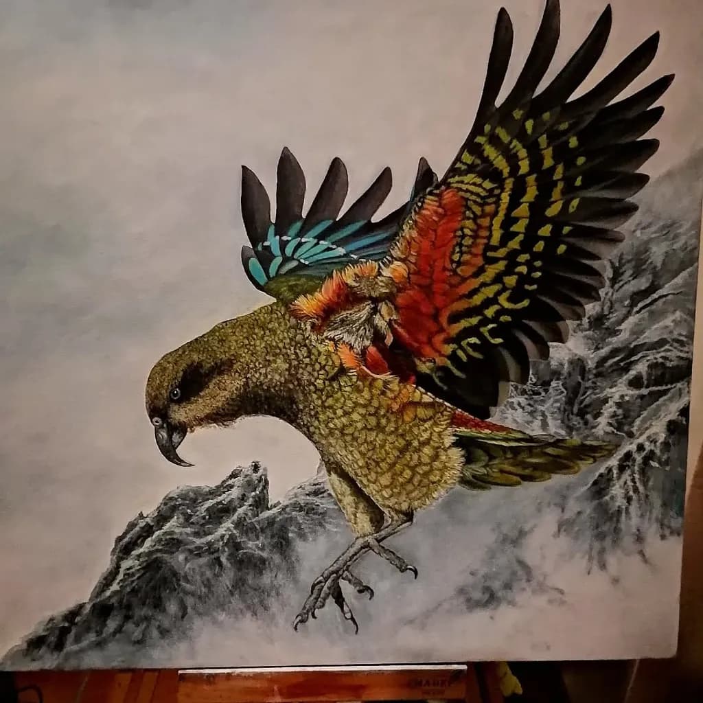 Kea in Flight