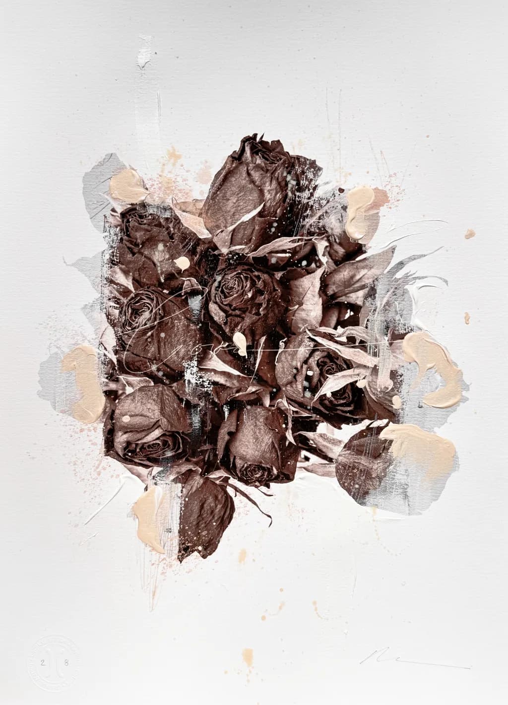 Cream Roses