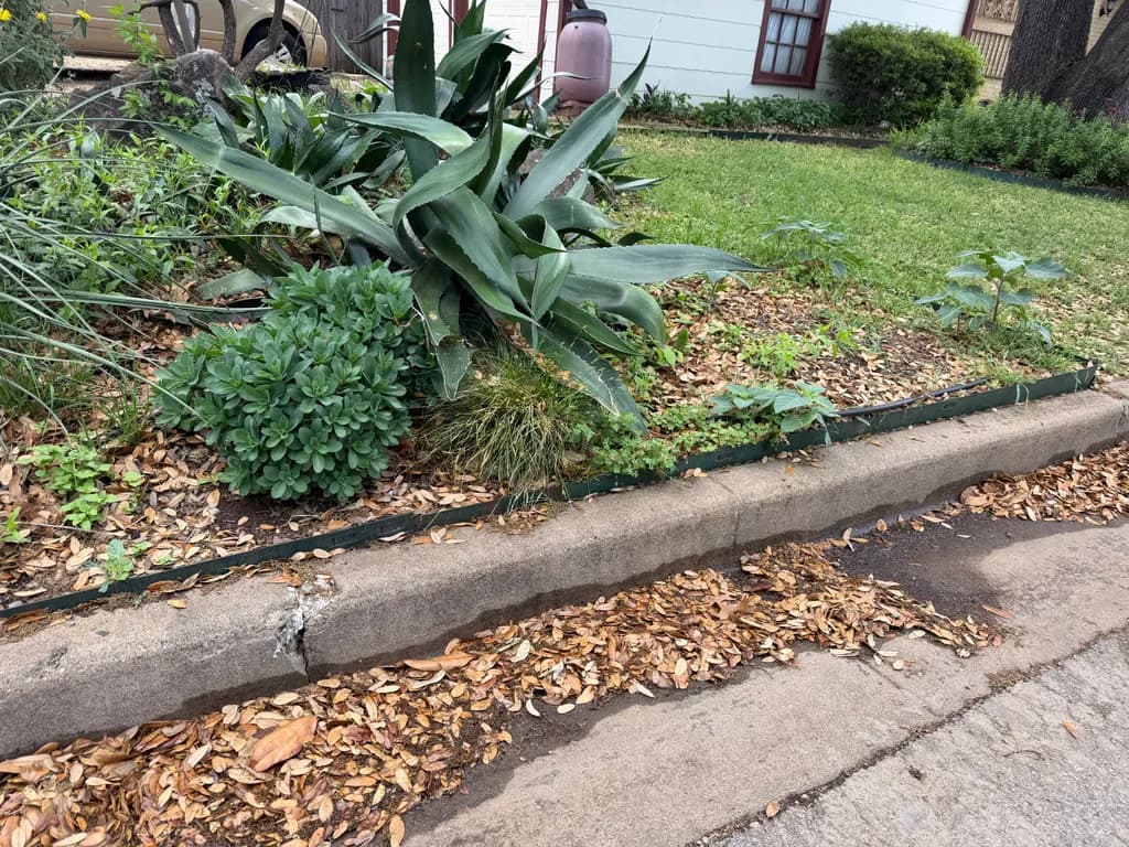 Garden Boundary Edge