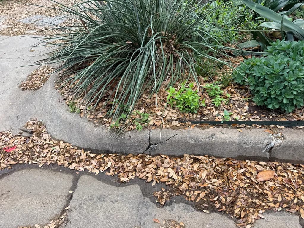 Urban Garden Edge