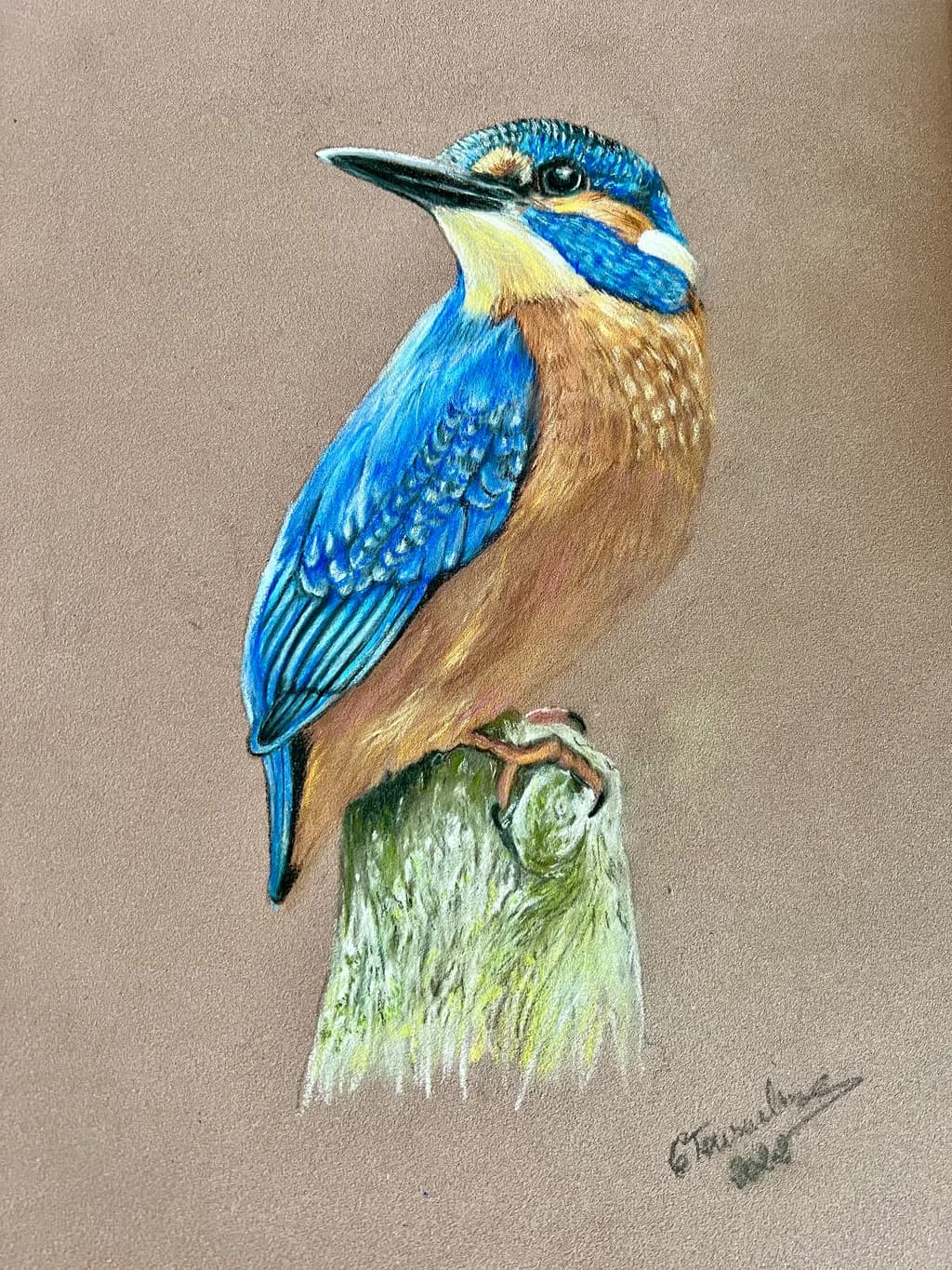 Blue Perch