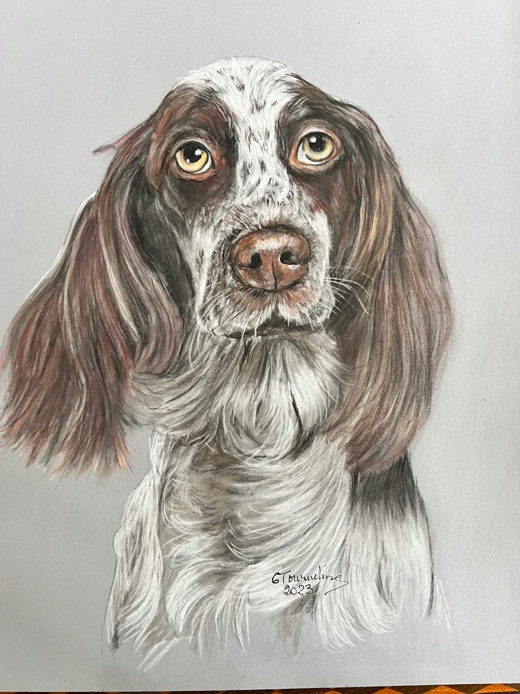 Solemn Spaniel