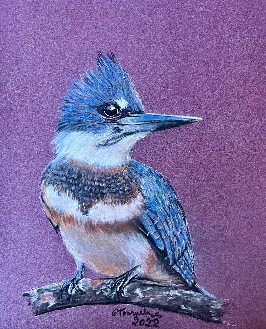 Blue Crest Kingfisher
