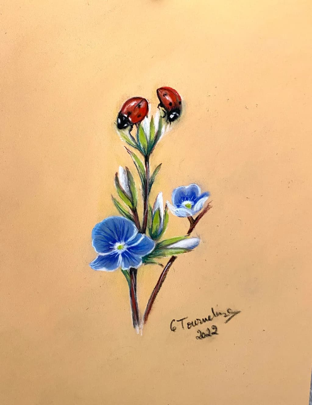 Ladybugs and Blue Blossoms