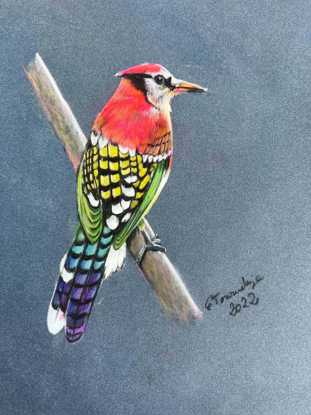 Chromatic Woodpecker