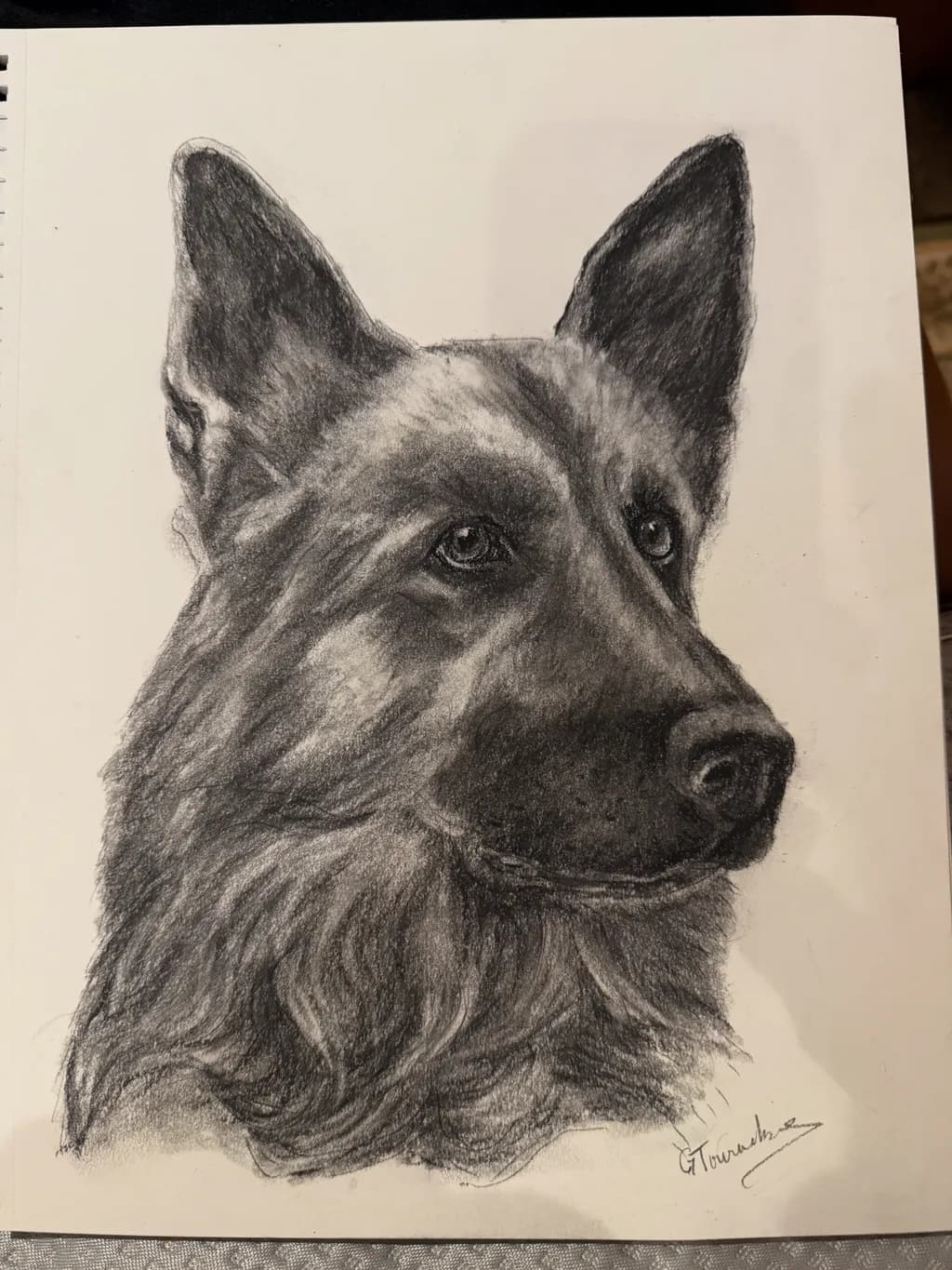 Guarded Gaze