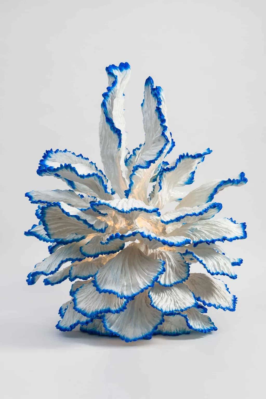 Blue-Edged Bloom