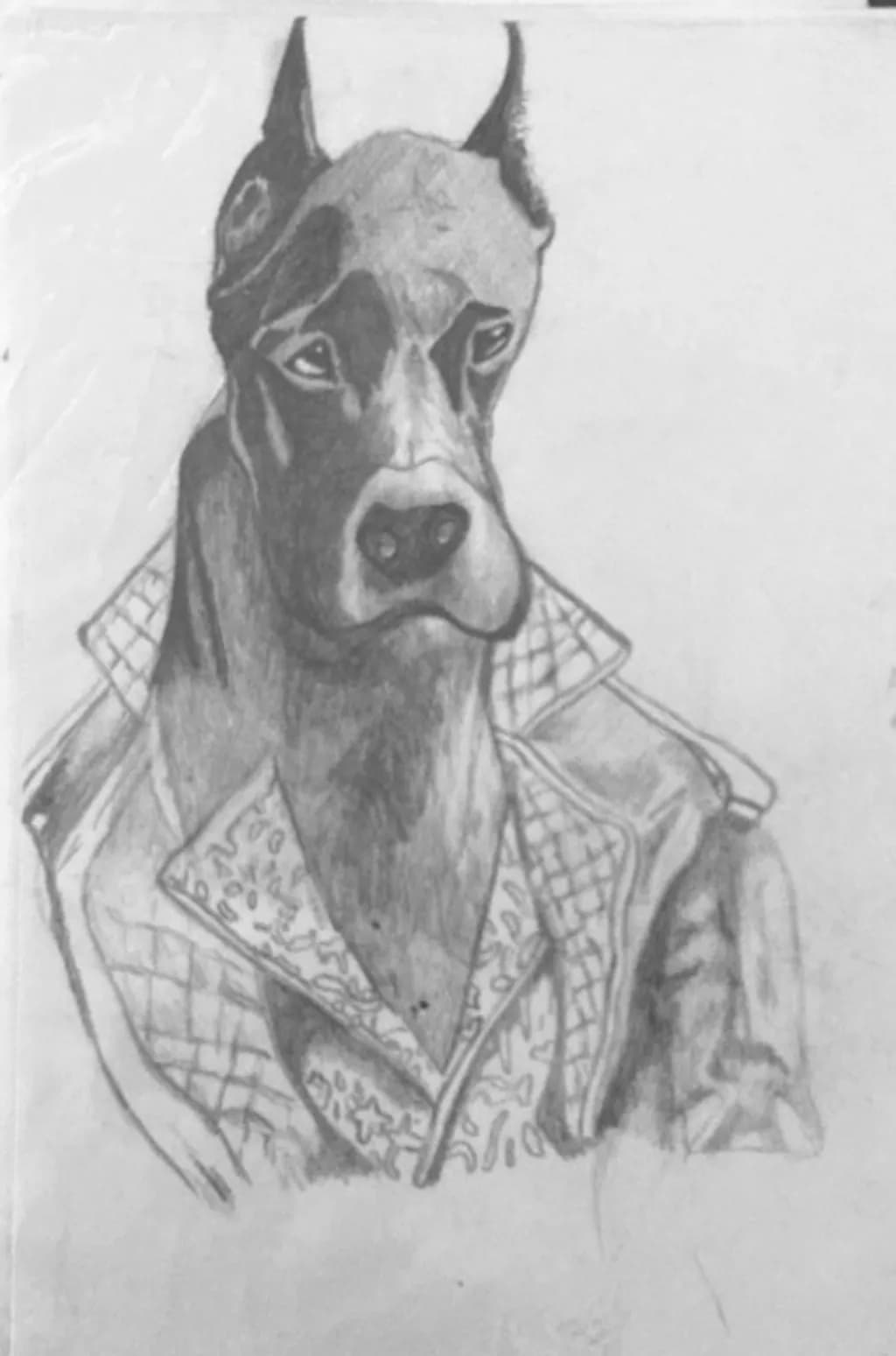 Doberman in Jacket
