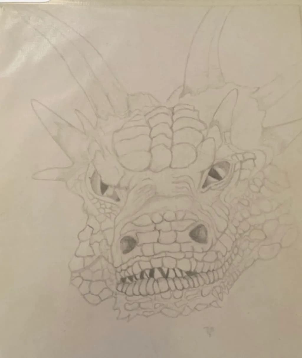 Dragon Skull Sketch