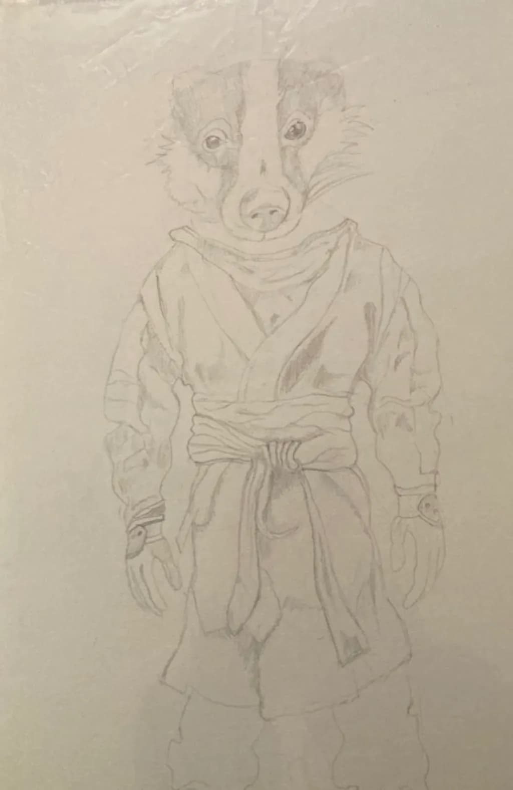 Badger in Robes