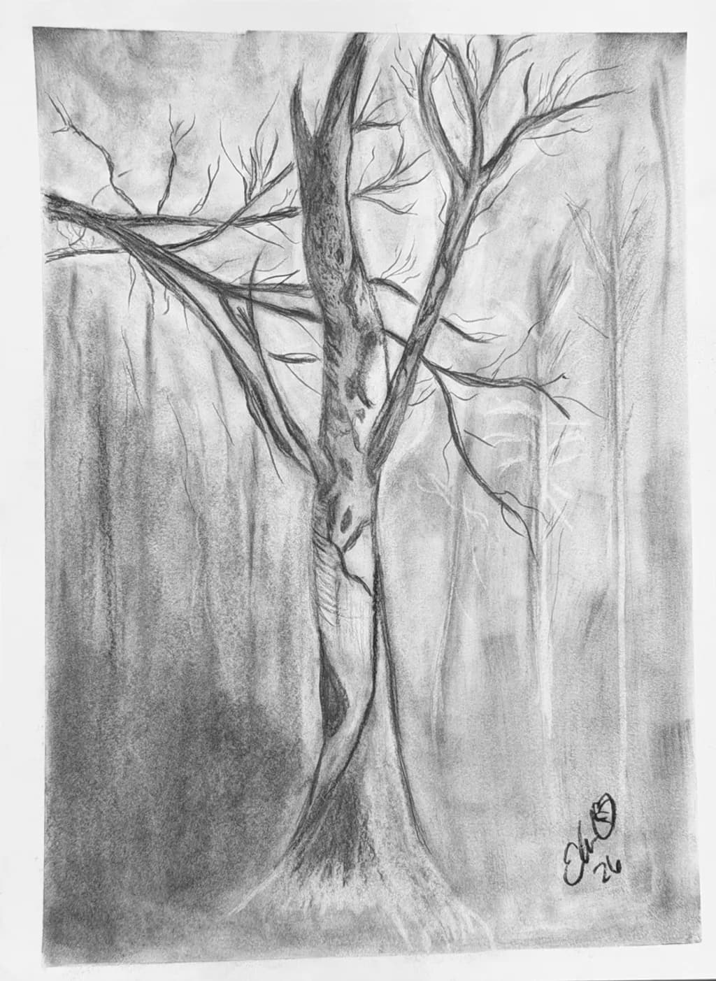Birch Tree Large