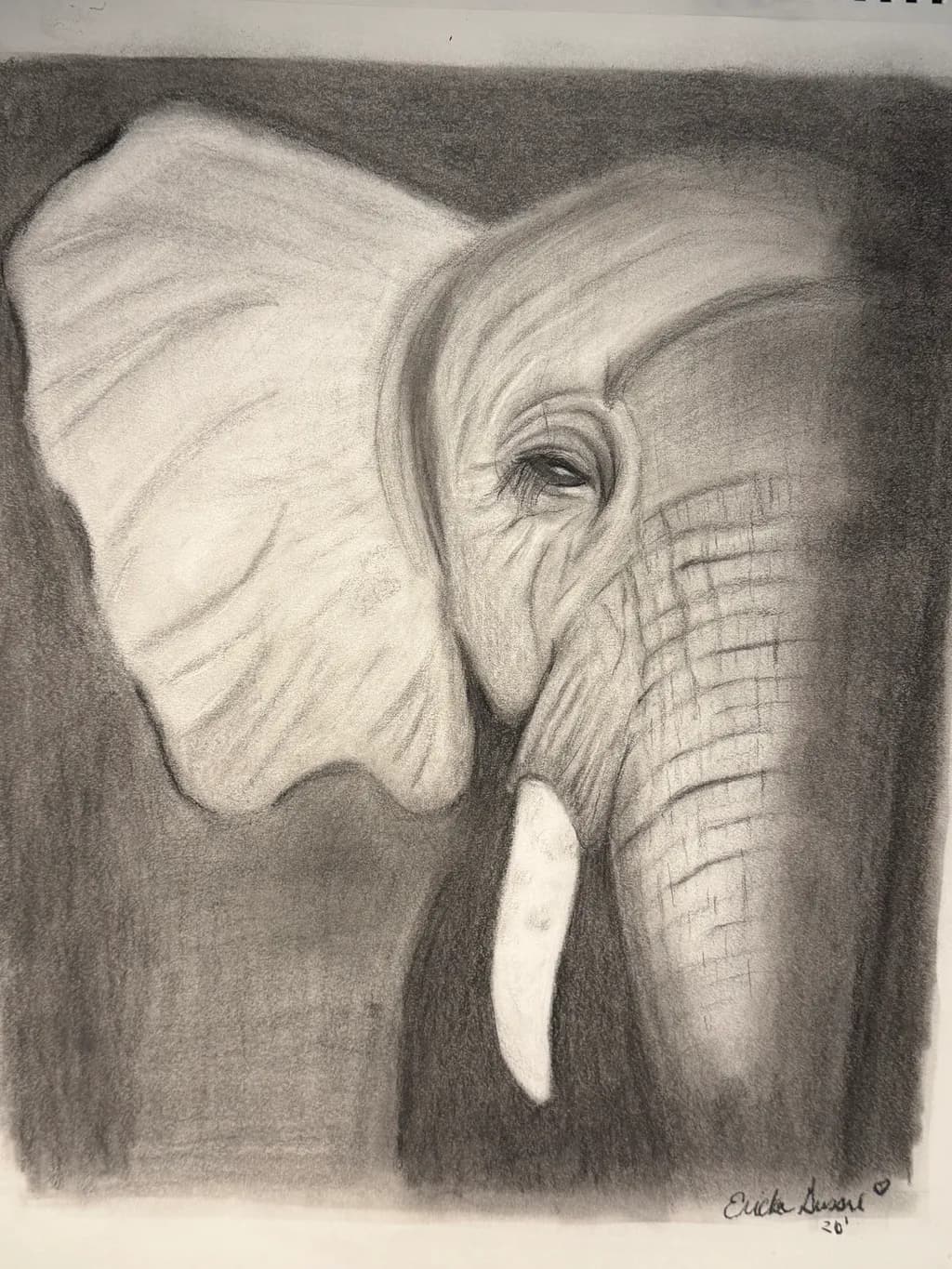 Elephant in Charcoal