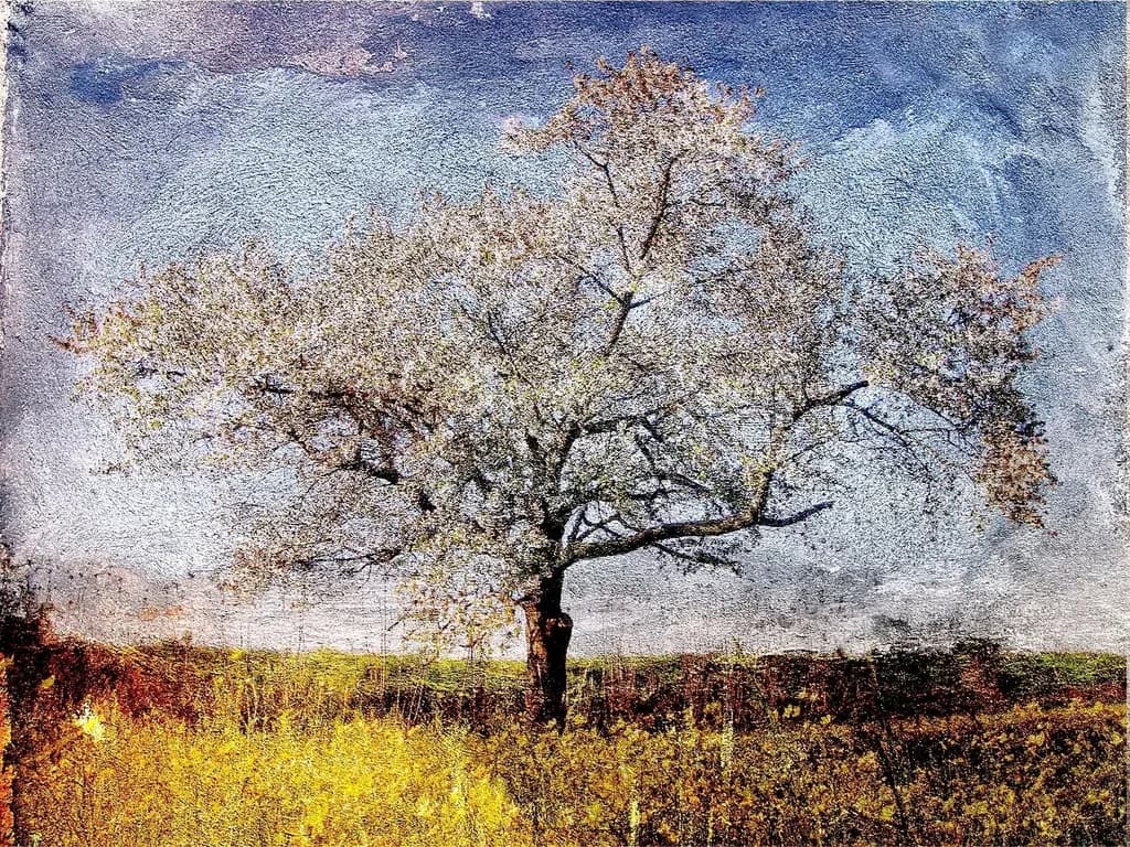 Golden Meadow Tree