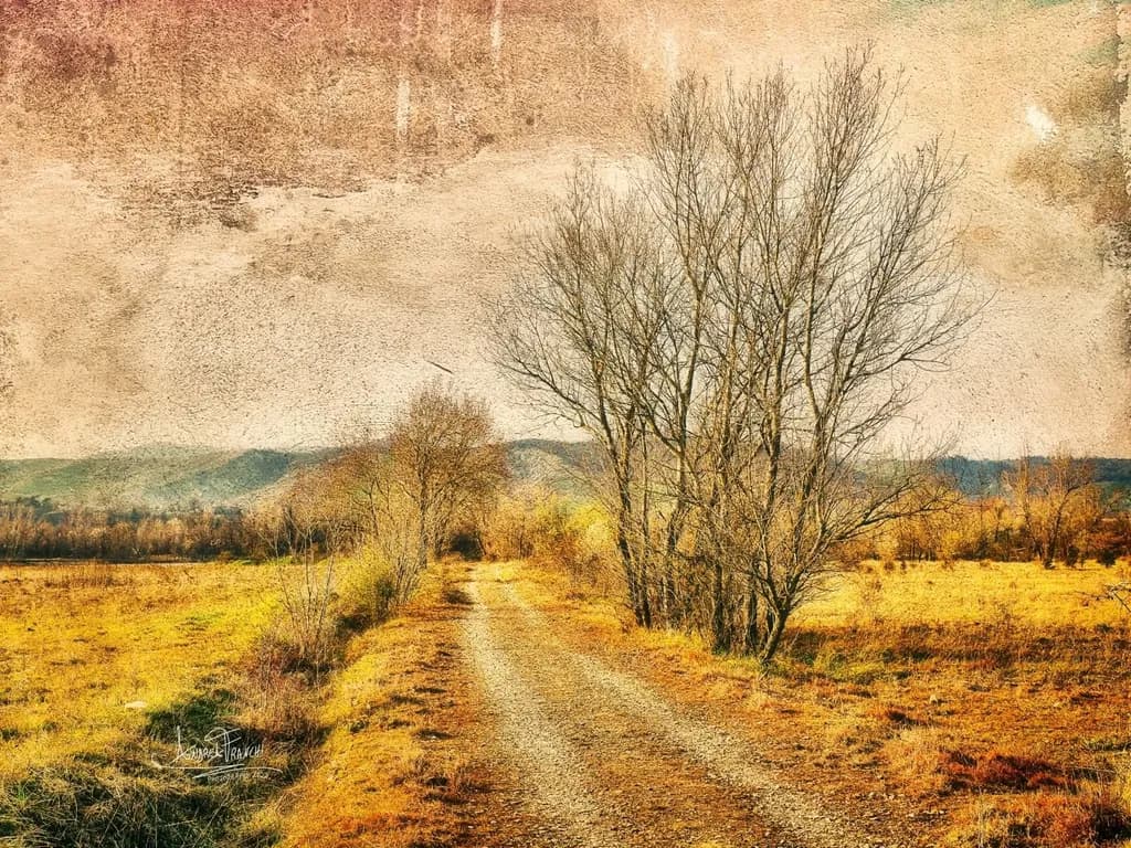 Golden Pathway
