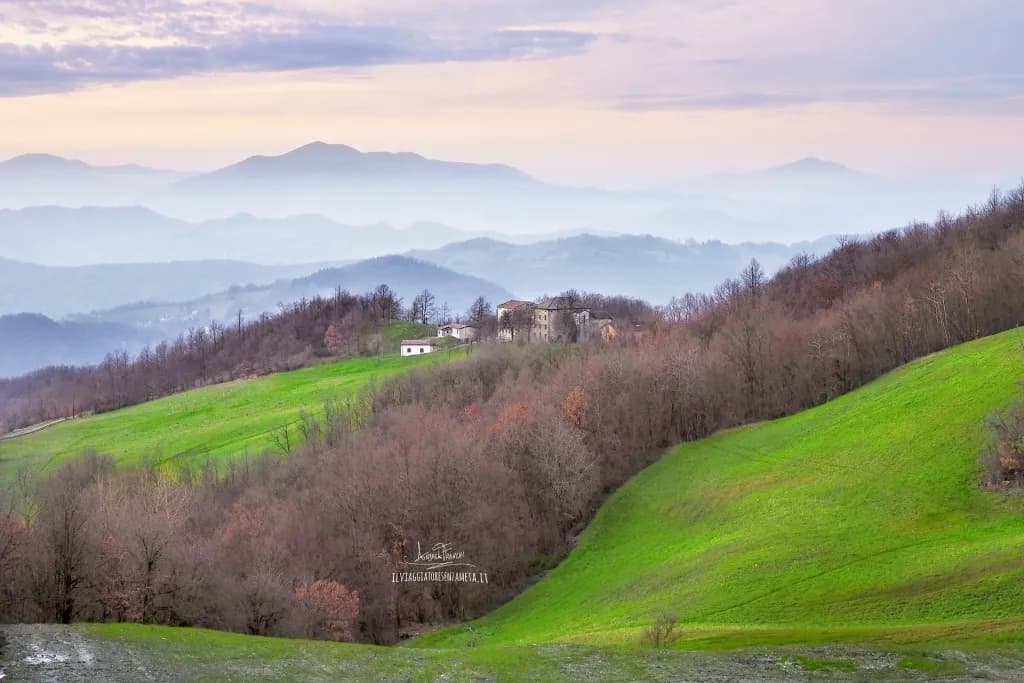 Misty Hillside Retreat