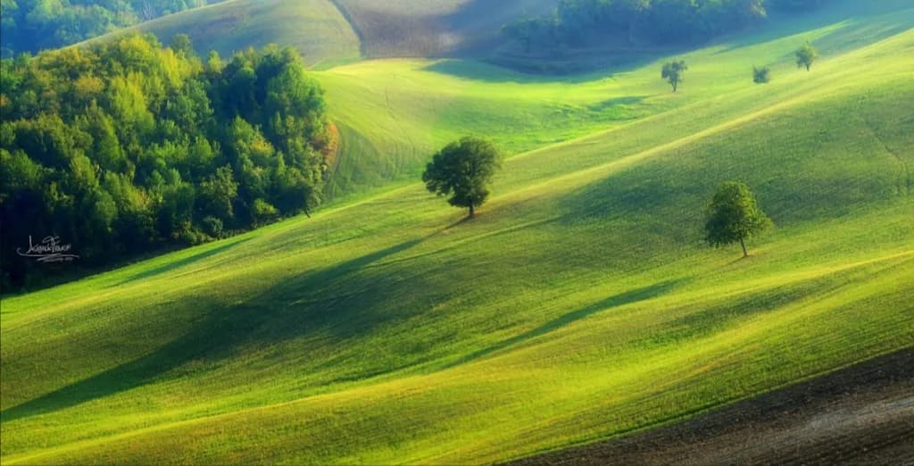 Rolling Green Hills