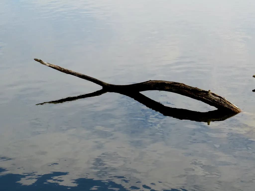 Floating Reflection