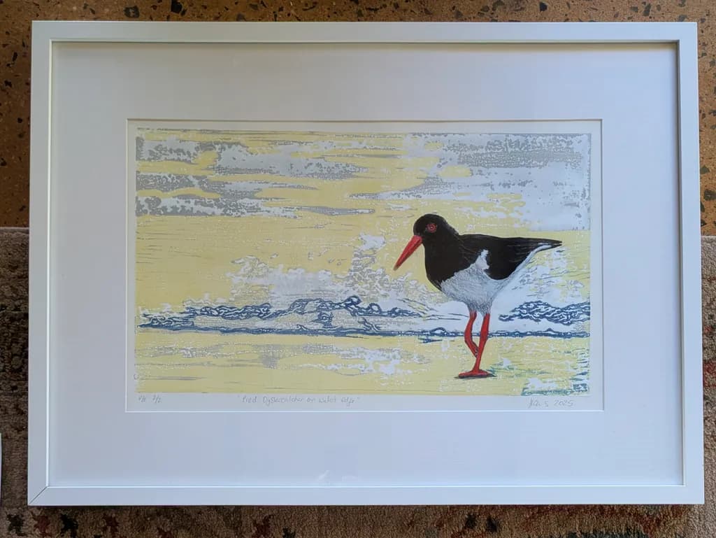 Red Oystercatcher Shore