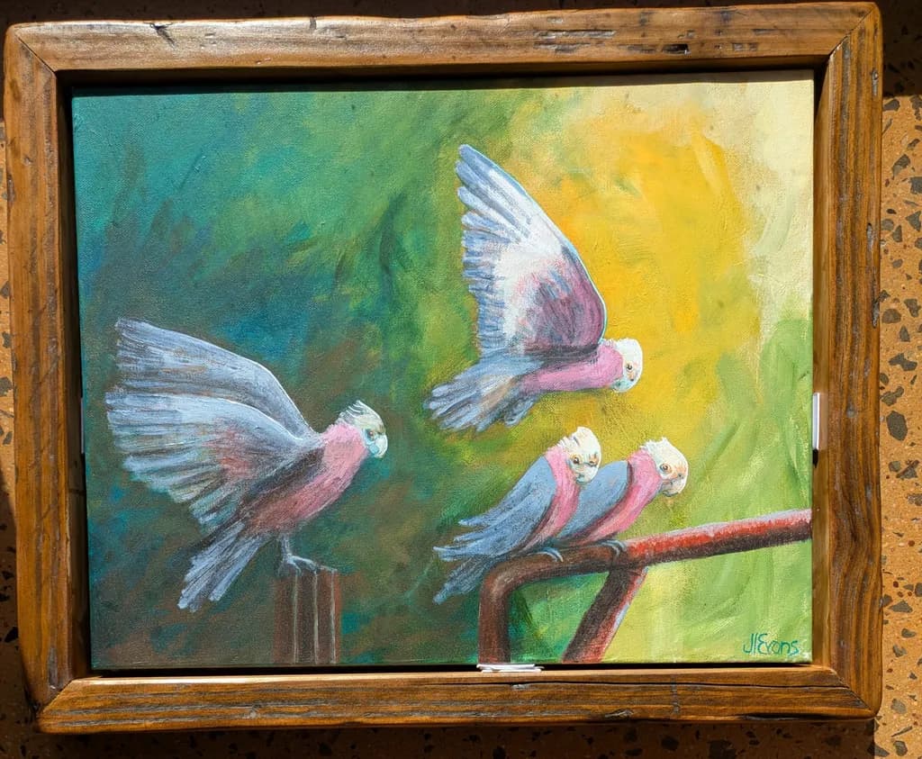 Galah Gathering