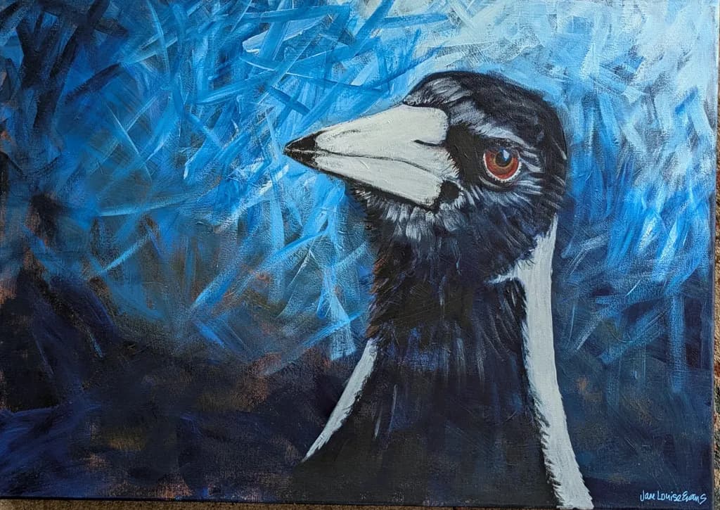 Magpie Gaze