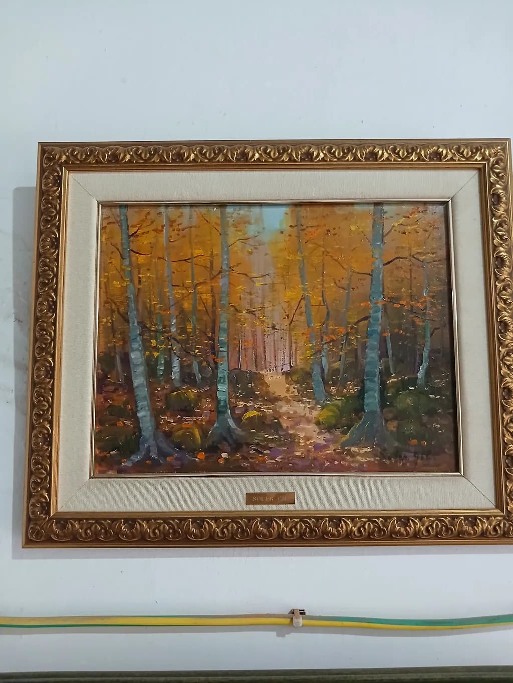 Autumn Grove