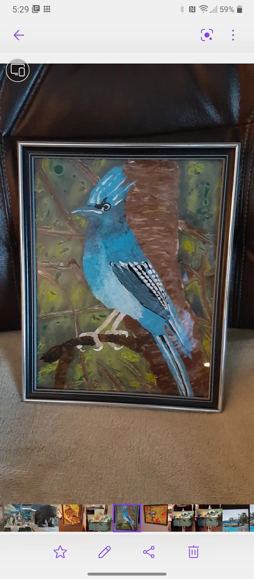 Blue Jay Perch
